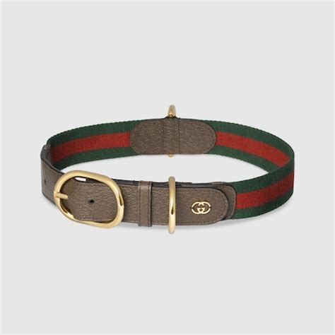 gucci cat colar|Gucci dog collar large.